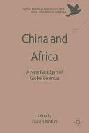  China and Africa : a new paradigm of global business