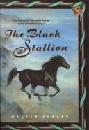 The black stallion