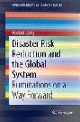 Disaster risk reduction and the global system : ruminations on a way forward
