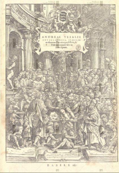  Andreae Vesalii Bruxellensis