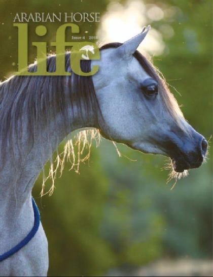  Arabian Horse Life (Issue 4 - 2018)