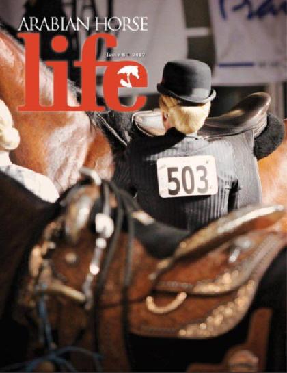  Arabian Horse Life (Issue 6 - 2017)