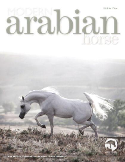  Modern Arabian Horse (Issue 4 - 2016)