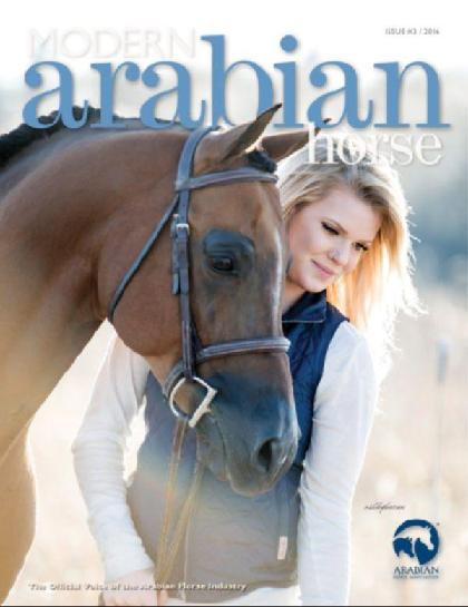  Modern Arabian Horse (Issue 3 - 2016)