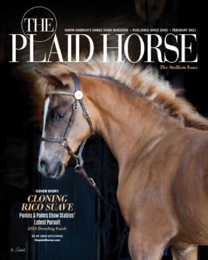  The Plaid Horse - February 2021