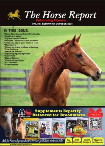 The Horse Report - October 2021