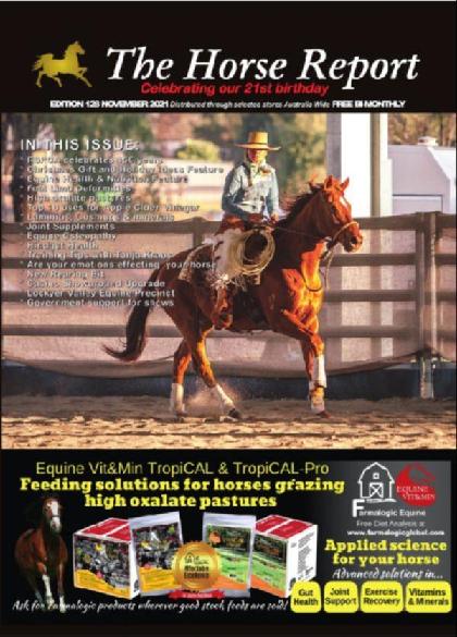 The Horse Report - November 2021