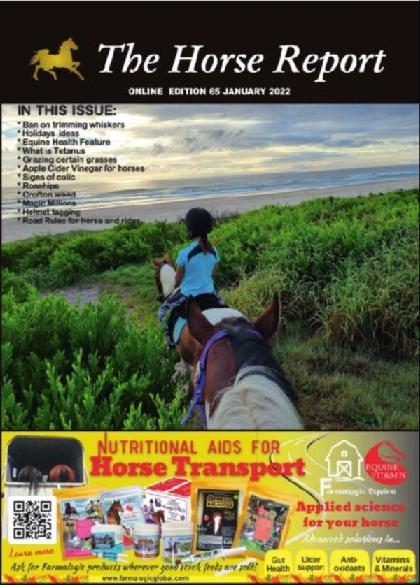 The Horse Report - January 2022