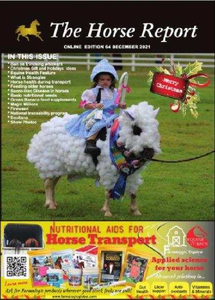  The Horse Report - December 2021