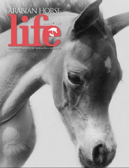  Arabian Horse Life (Issue 2 - 2020)