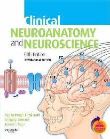  Clinical neuroanatomy and neuroscience