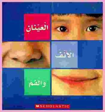 العينان، الأنف والفم