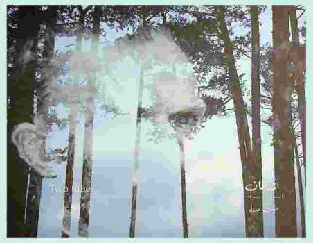  أزرقان : (أزرق الرسم وأزرق الحياة)