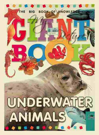  Underwater animals