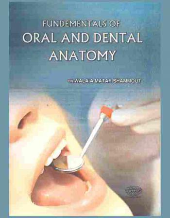 Fundementals of oral and dental anatomy