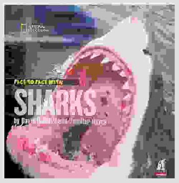  Face to face with sharks