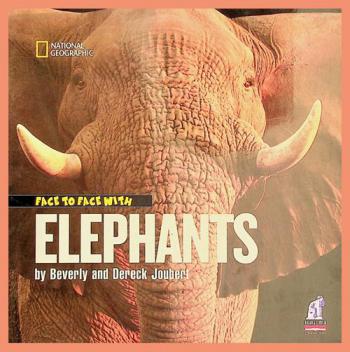  Face to face with elephants