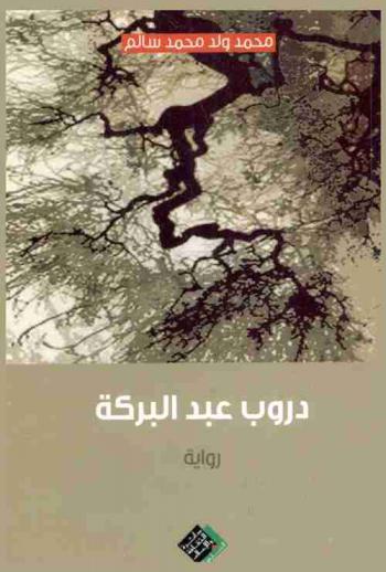  دروب عبد البركة : رواية