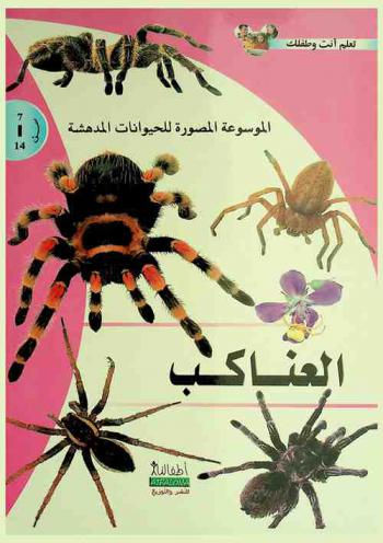 العناكب