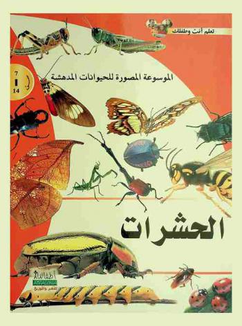  الحشرات