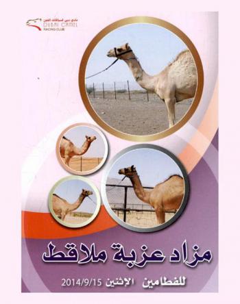  مزاد عزبة ملاقط للفطامين الأتنين 15 / 9 / 2014