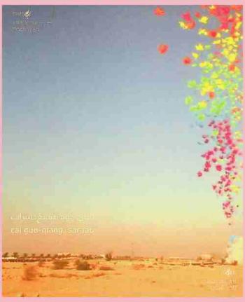 ساي جوو تشانغ : سراب = Cai Guo-Qiang : Saraab