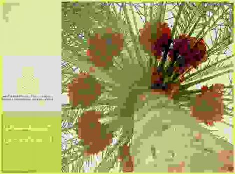  كتاب الفائزين 2012-2013-2014 = Winner book 2012-2013-2014 : الدورة الرابعة 2012، الدورة الخامسة 2013، الدورة السادسة 2014