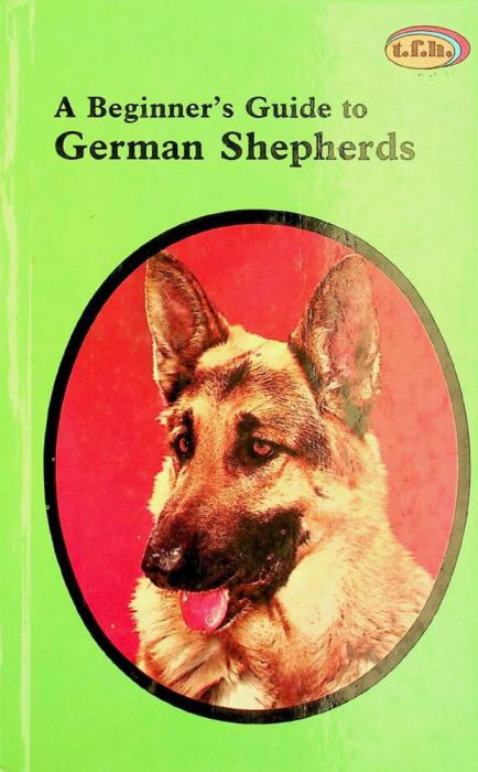 A beginner's guide to german shepherds