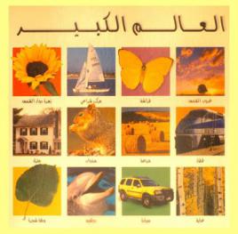  العالم الكبير