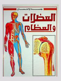  العضلات والعظام