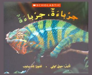 حرباءة، حرباءة