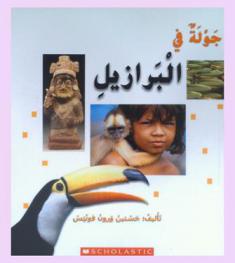  جولة في البرازيل