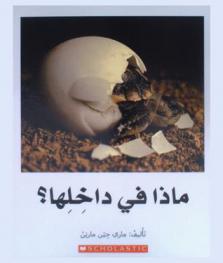 ماذا في داخلها