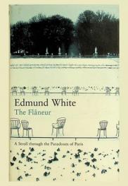  The flaneur : a stroll through the paradoxes of Paris