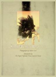  Saudi Arabian portfolio