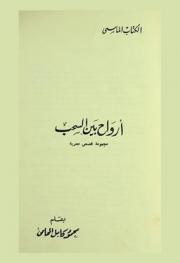 أرواح بين السحب : مجموعة قصص مصرية