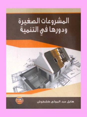  المشروعات الصغيرة ودورها في التنمية