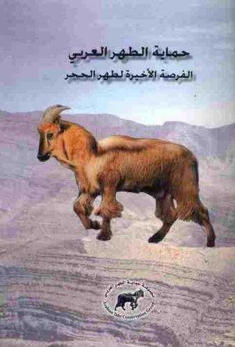  حماية الطهر العربي : الفرصة الأخيرة لطهر الحجر = Arabian Tahr conservation : the last chance for the Hajar Tahr