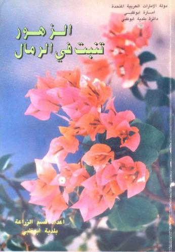  الزهور تنبت في الرمال