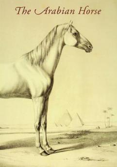  The Arabian horse : the largest library of its kind in private hands supplemented by one hundred books, manuscripts, drawings and prints on horses