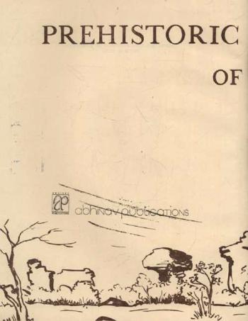  Prehistoric rock paintings of bhimbetka, Central India