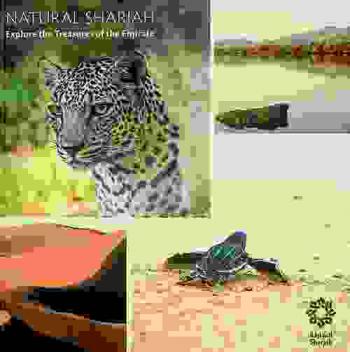  Natural Sharjah : explore the treasures of the Emirate