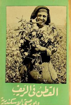 القطن في الريف وبورصتي في الإسكندرية