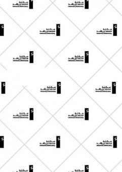  ابن الإنسان : حياة نبي