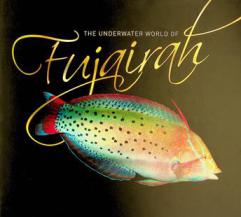 The underwater world of Fujairah