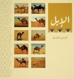  الإبل : أنواعها وأعمارها