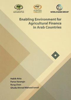  Enabling environment for agricultural finance in Arab countries : findings from agricultural finance diagnostic conducted in the Arab region
