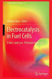  Electrocatalysis in fuel cells : a non-and low-platinum approach