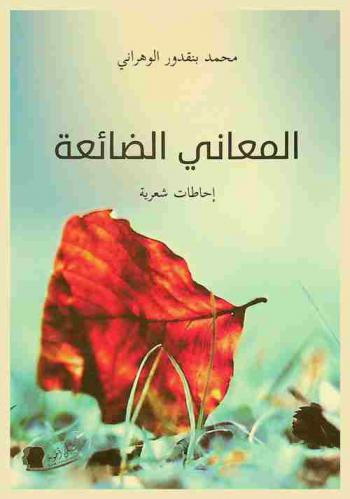 المعاني الضائعة : إحاطات شعرية