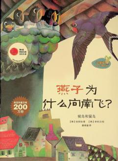 Yan zi wei shen me xiang nan fei?